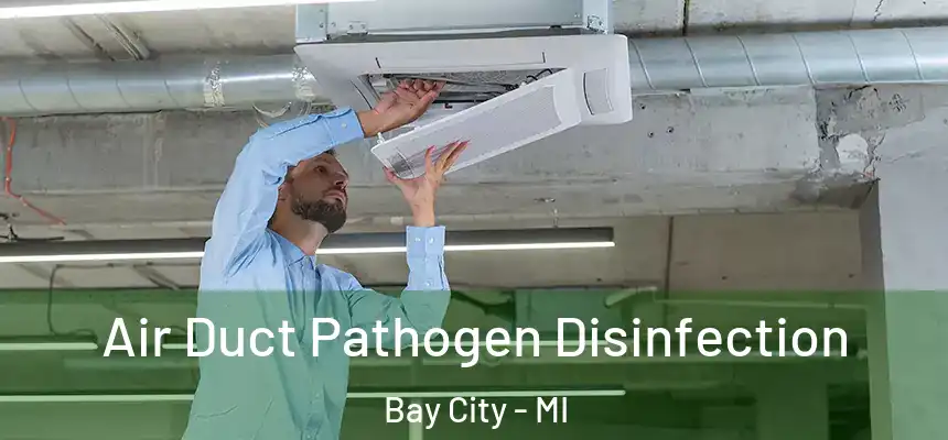 Air Duct Pathogen Disinfection Bay City - MI
