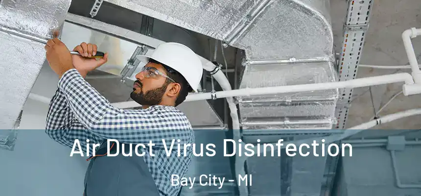 Air Duct Virus Disinfection Bay City - MI