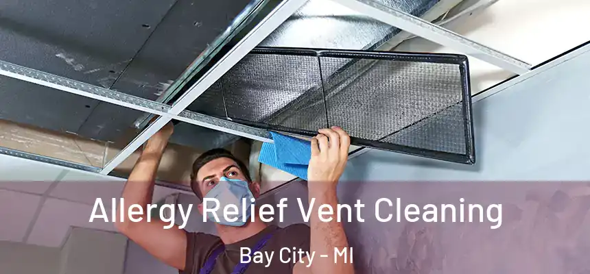  Allergy Relief Vent Cleaning Bay City - MI