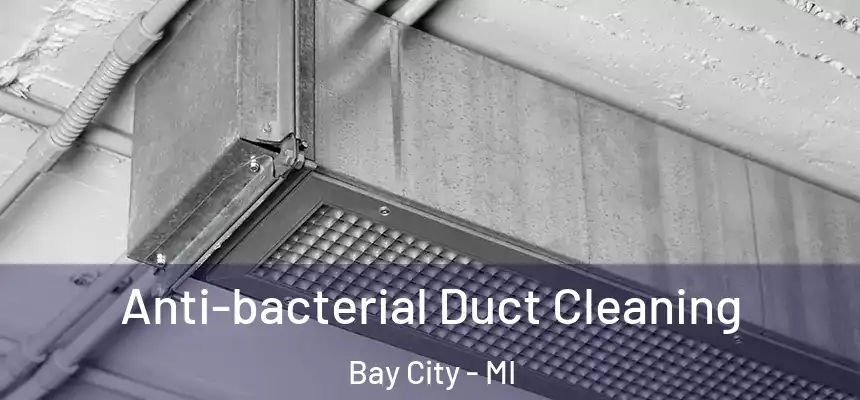  Anti-bacterial Duct Cleaning Bay City - MI