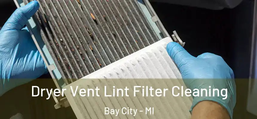  Dryer Vent Lint Filter Cleaning Bay City - MI