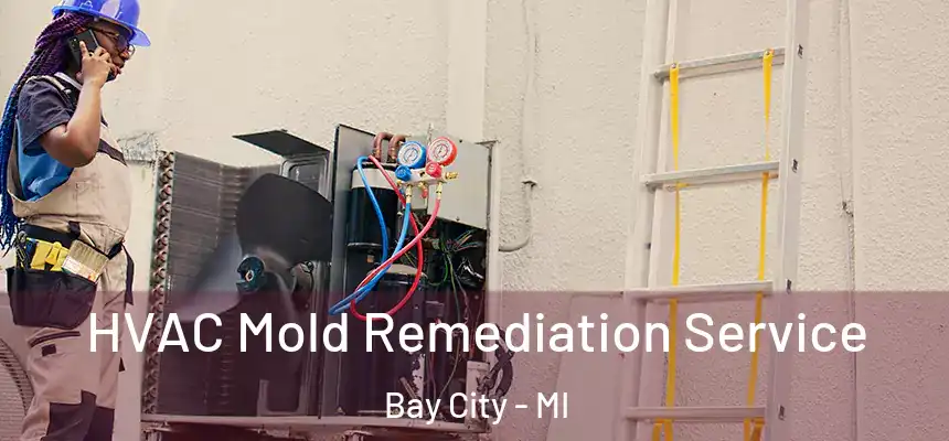  HVAC Mold Remediation Service Bay City - MI
