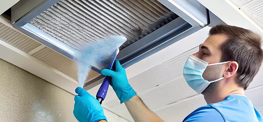 Proactive Dryer Vent & Auxiliary Duct Pollen Cleanup in Bay City, MI
