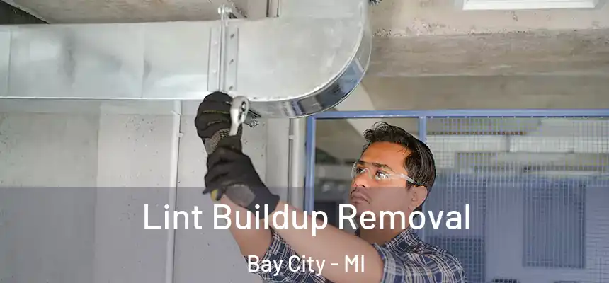 Lint Buildup Removal Bay City - MI
