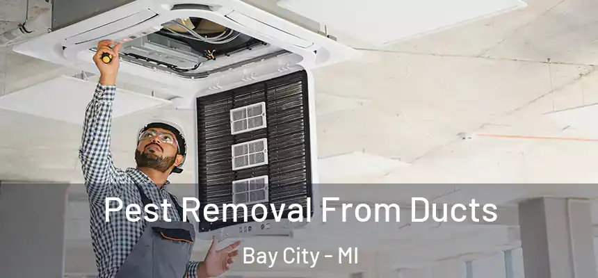 Pest Removal From Ducts Bay City - MI