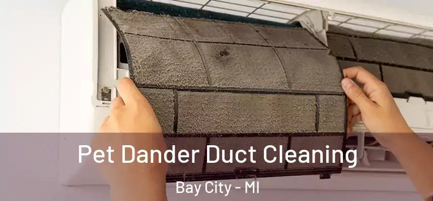  Pet Dander Duct Cleaning Bay City - MI