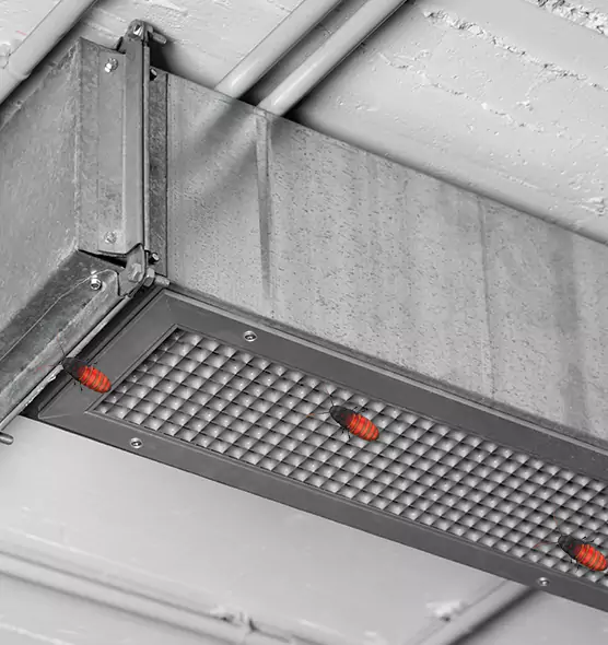 Affordable Insect Removal from Air Ducts in Bay City, MI