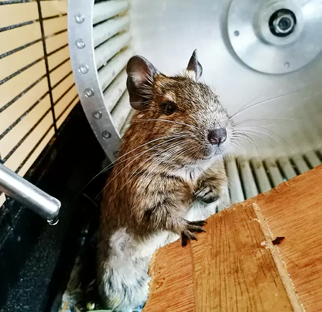 Why Homeowners & Businesses Trust Us Bay City, MI?